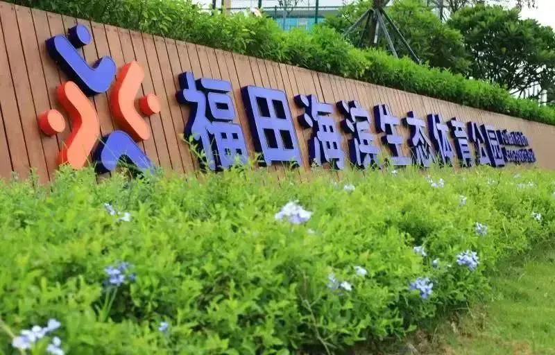 如何通过冥想放松提升篮球比赛中的专注力?_2